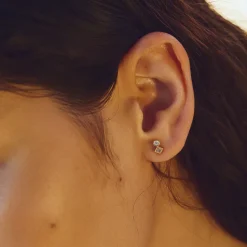 BDM – idylle studs