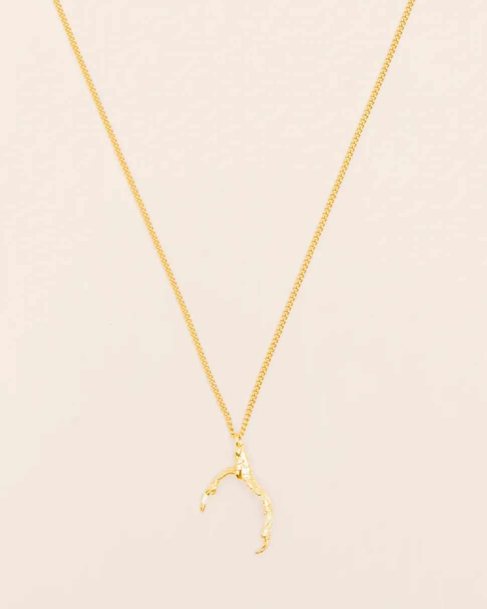 Wouters&Hendrix – ketting met kraaienpoot