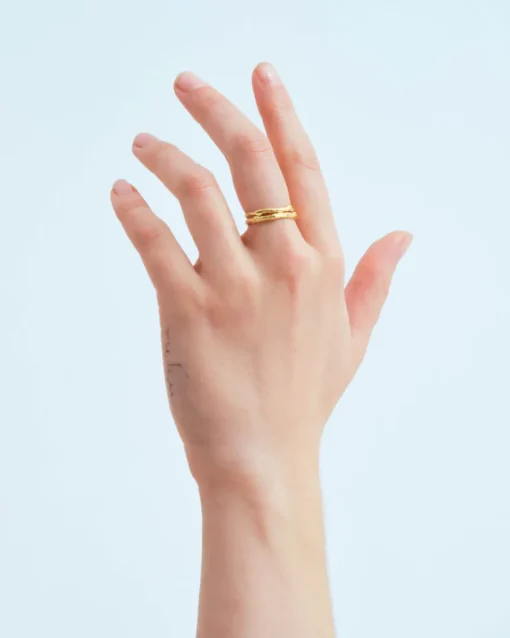 Wouters&Hendrix – duo takjes ringen