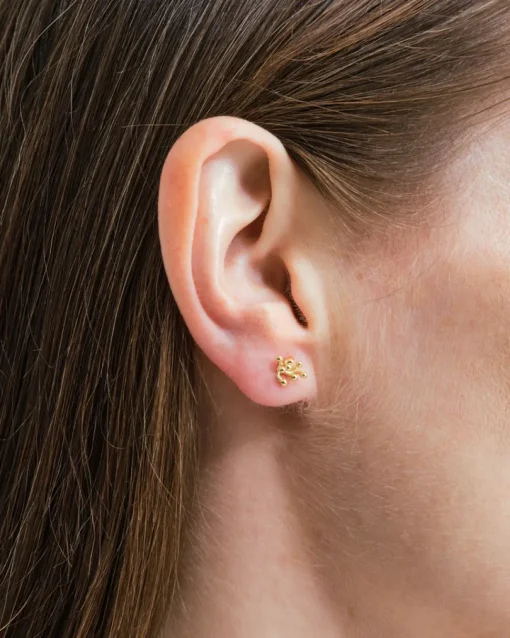 Wouters&Hendrix – studs met cluster